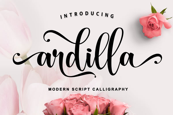 Ardilla Font: Elevate Your Brand Identity