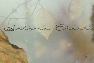Autumn Chant Font Review: Download & Design Guide