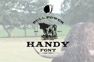 Handy: A Vintage Serif Font for Business Branding