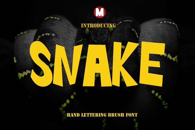 Snake Font: The Brush Typeface for Handmade Brands